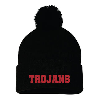 Raven Stream Beanie Varsity